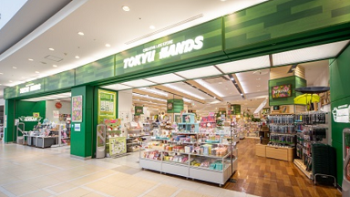 �}�C�i�`���� ���}�n���Y